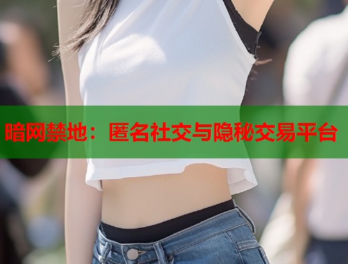 暗网禁地：匿名社交与隐秘交易平台  第1张