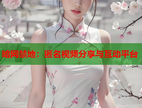 暗网禁地：匿名视频分享与互动平台  第1张