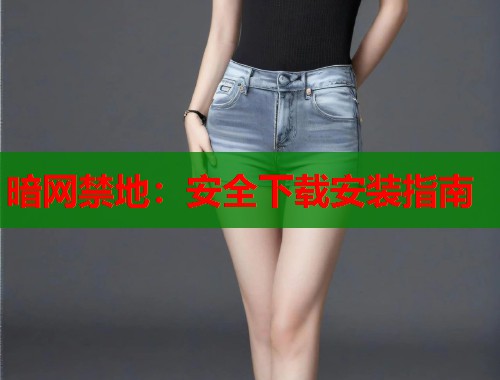 暗网禁地：安全下载安装指南  第1张