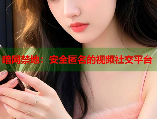 暗网禁地：安全匿名的视频社交平台  第1张