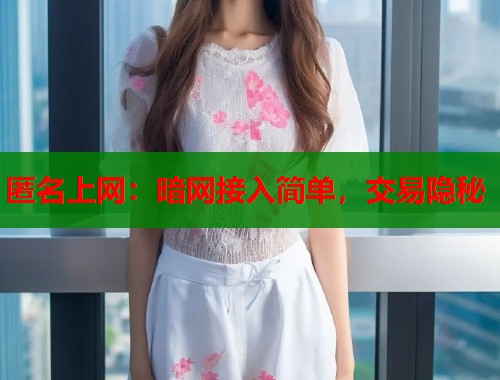 匿名上网：暗网接入简单，交易隐秘  第1张