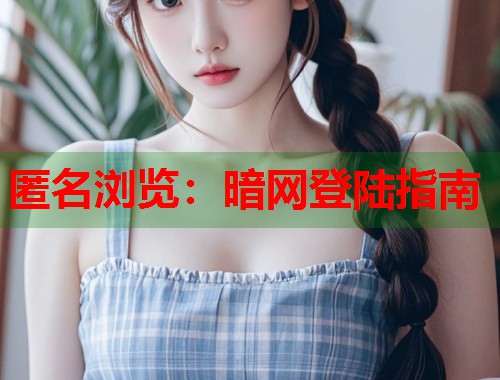 匿名浏览：暗网登陆指南  第1张