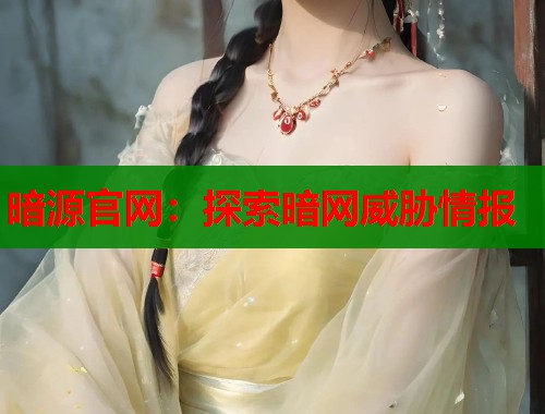 暗源官网：探索暗网威胁情报  第1张