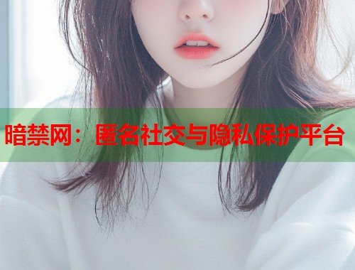 暗禁网：匿名社交与隐私保护平台  第1张