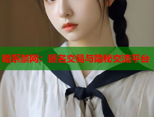 暗系禁网：匿名交易与隐秘交流平台  第1张
