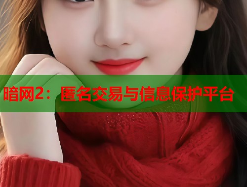 暗网2：匿名交易与信息保护平台  第1张