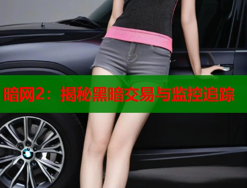 暗网2：揭秘黑暗交易与监控追踪  第1张