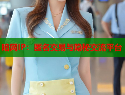 暗网IP：匿名交易与隐秘交流平台  第1张