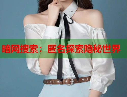 暗网搜索：匿名探索隐秘世界  第1张