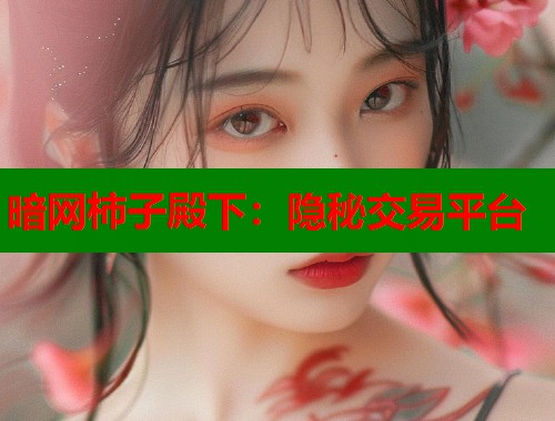 暗网柿子殿下：隐秘交易平台  第1张