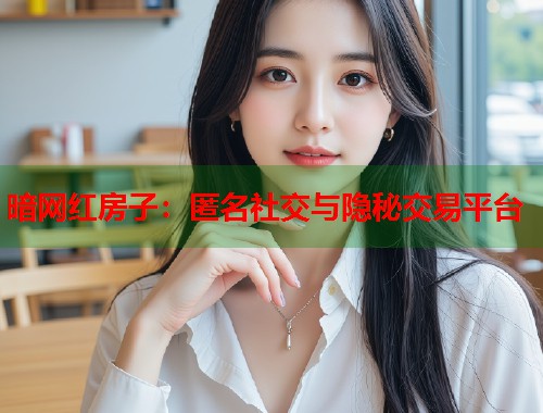 暗网红房子：匿名社交与隐秘交易平台  第2张