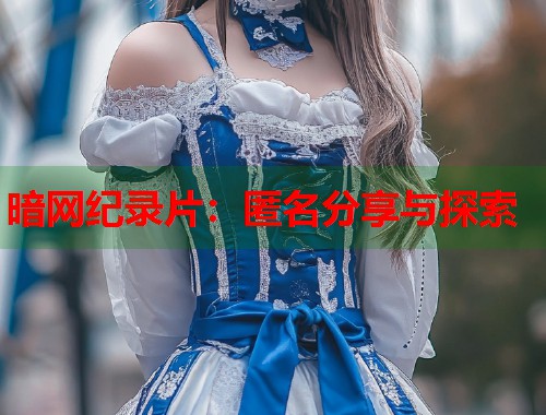 暗网纪录片：匿名分享与探索  第1张
