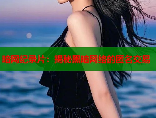 暗网纪录片：揭秘黑暗网络的匿名交易  第1张