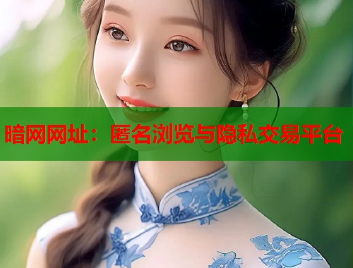 暗网网址：匿名浏览与隐私交易平台  第1张