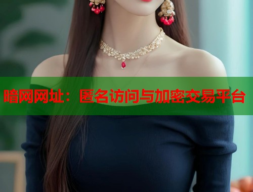 暗网网址：匿名访问与加密交易平台  第1张