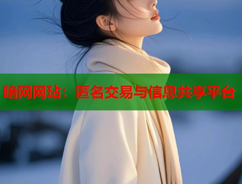 暗网网玷：匿名交易与信息共享平台  第1张