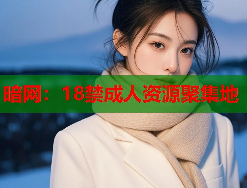 暗网：18禁成人资源聚集地  第1张