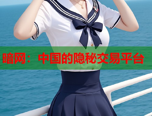 暗网：中国的隐秘交易平台  第1张