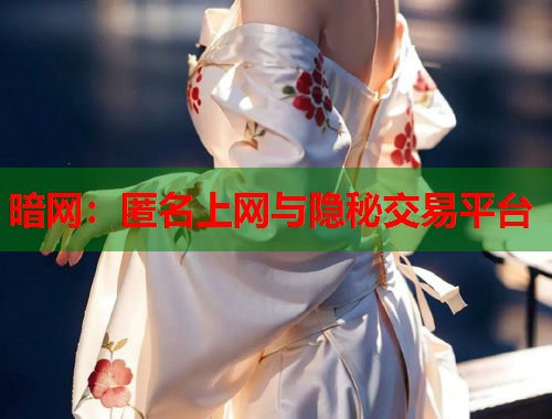 暗网：匿名上网与隐秘交易平台  第1张