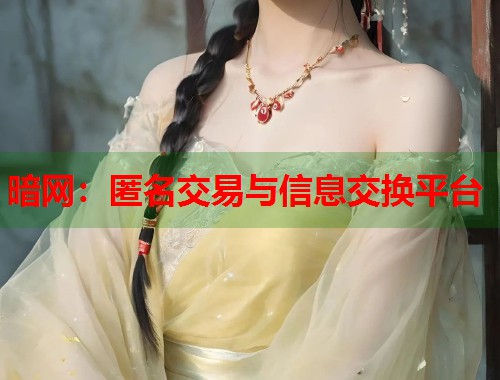 暗网：匿名交易与信息交换平台  第1张