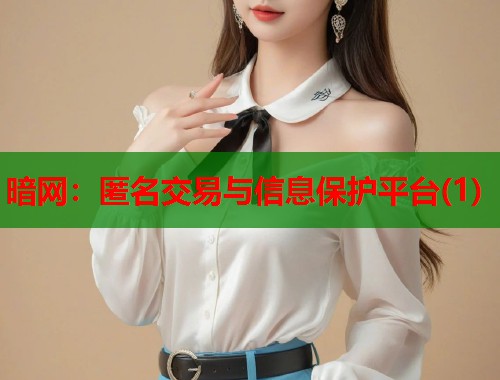 暗网：匿名交易与信息保护平台(1)  第1张