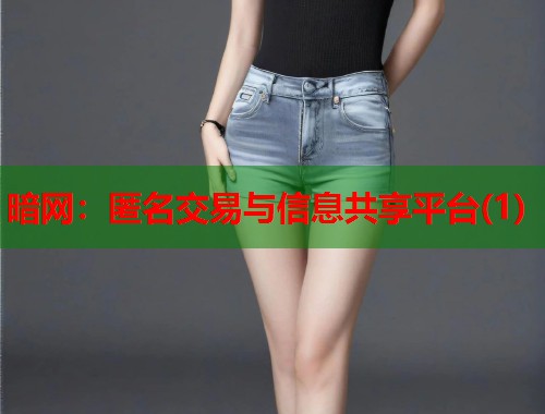 暗网：匿名交易与信息共享平台(1)  第1张