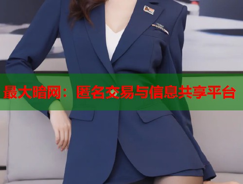 最大暗网：匿名交易与信息共享平台  第1张