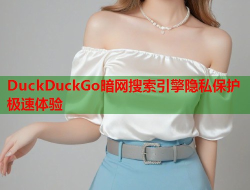 DuckDuckGo暗网搜索引擎隐私保护极速体验  第2张