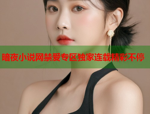 暗夜小说网禁爱专区独家连载精彩不停  第1张