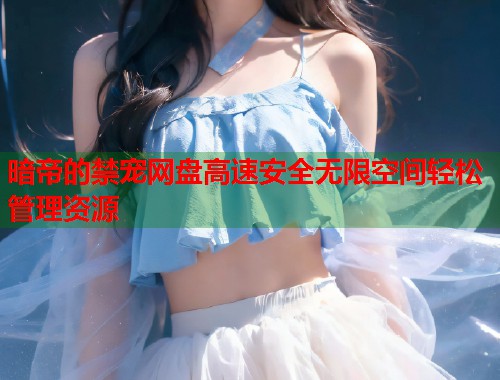 暗帝的禁宠网盘高速安全无限空间轻松管理资源  第2张