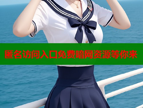  匿名访问入口免费暗网资源等你来 第1张