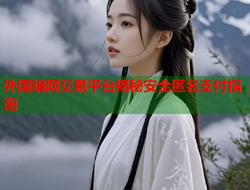 外国暗网交易平台揭秘安全匿名支付指南  第1张