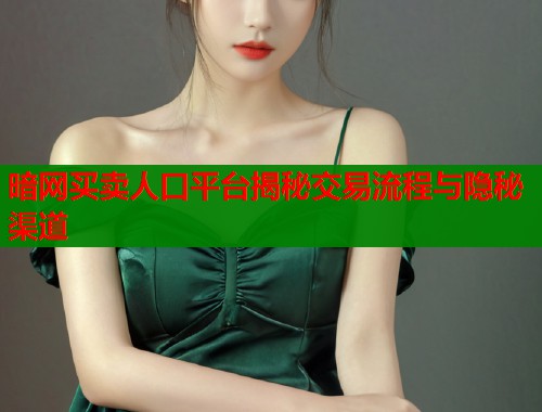 暗网买卖人口平台揭秘交易流程与隐秘渠道 第1张 暗网买卖人口平台揭秘交易流程与隐秘渠道 第1张