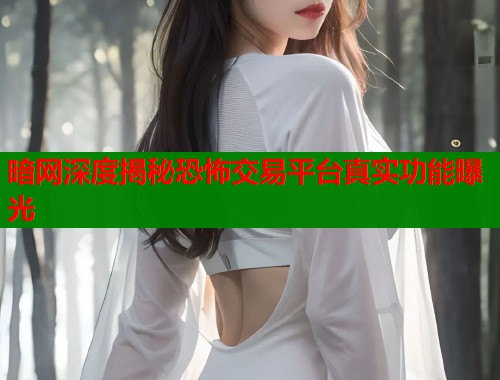 暗网深度揭秘恐怖交易平台真实功能曝光  第1张