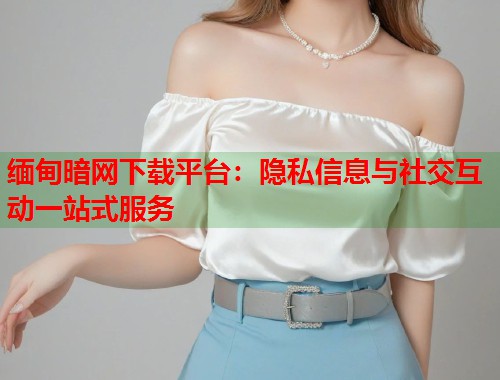 缅甸暗网下载平台：隐私信息与社交互动一站式服务  第1张