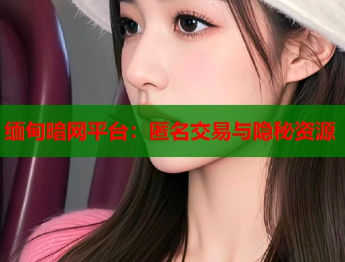 缅甸暗网平台：匿名交易与隐秘资源  第1张