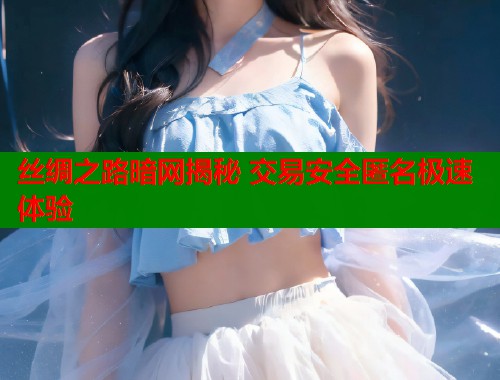 丝绸之路暗网揭秘 交易安全匿名极速体验  第1张