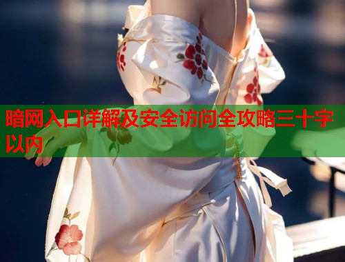 暗网入口详解及安全访问全攻略三十字以内  第1张