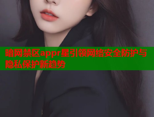 暗网禁区appr星引领网络安全防护与隐私保护新趋势  第1张