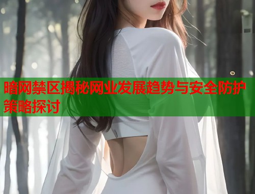 暗网禁区揭秘网业发展趋势与安全防护策略探讨  第1张
