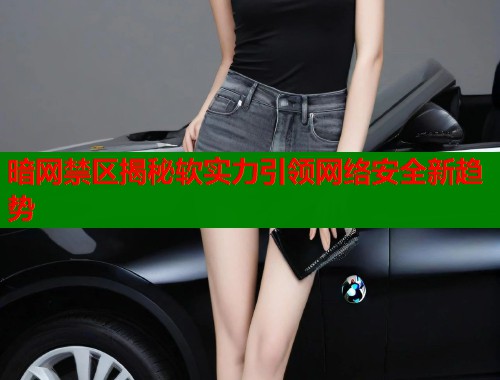 暗网禁区揭秘软实力引领网络安全新趋势  第2张