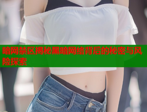 暗网禁区揭秘黑暗网络背后的秘密与风险探索  第2张