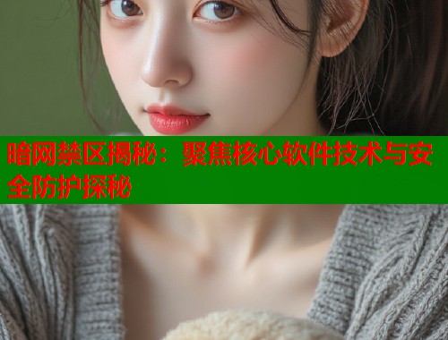暗网禁区揭秘：聚焦核心软件技术与安全防护探秘  第2张