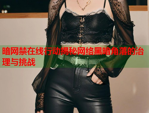 暗网禁在线行动揭秘网络黑暗角落的治理与挑战  第1张