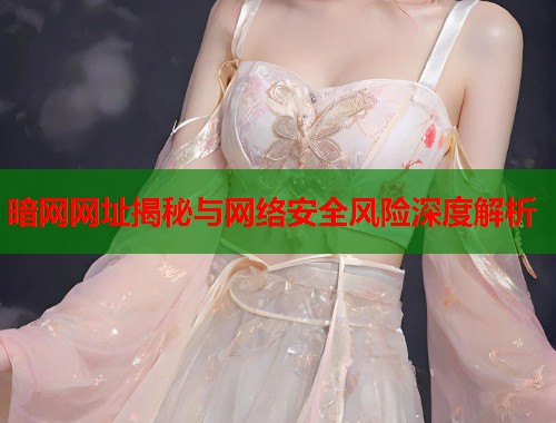暗网网址揭秘与网络安全风险深度解析  第2张