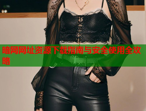 暗网网址资源下载指南与安全使用全攻略  第1张