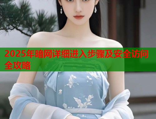 2025年暗网详细进入步骤及安全访问全攻略  第1张