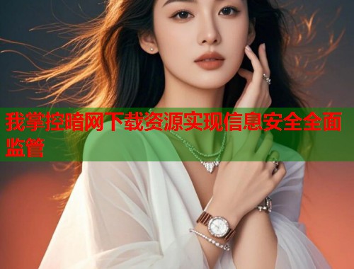 我掌控暗网下载资源实现信息安全全面监管  第1张