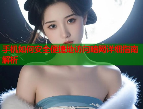 手机如何安全便捷地访问暗网详细指南解析  第1张