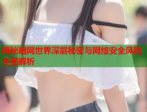 揭秘暗网世界深层秘密与网络安全风险全面解析  第1张